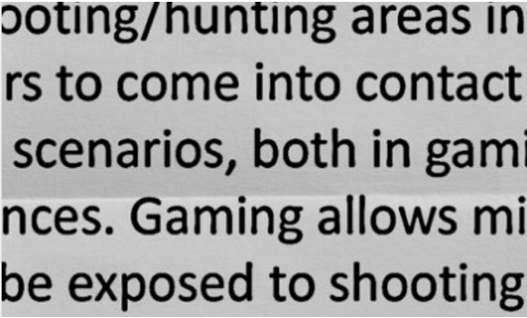FREEDOM GROUP GAMING STRATEGY / PAGE 2